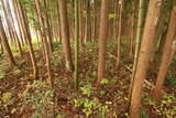 陸奥 馬館(岩出山町)の写真