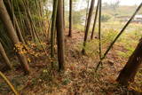 陸奥 馬館(岩出山町)の写真