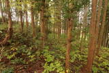 陸奥 馬館(岩出山町)の写真