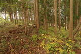 陸奥 馬館(岩出山町)の写真