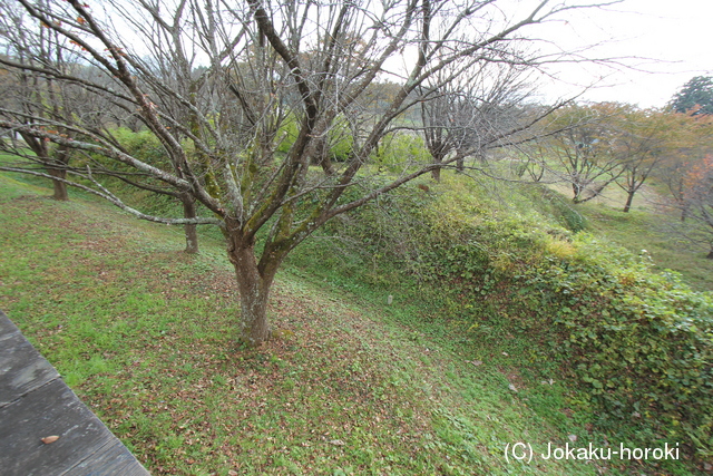 陸奥 岩谷堂城の写真