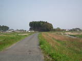 陸奥 泉田城の写真