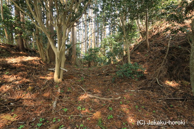 陸奥 蛇ヶ崎城の写真