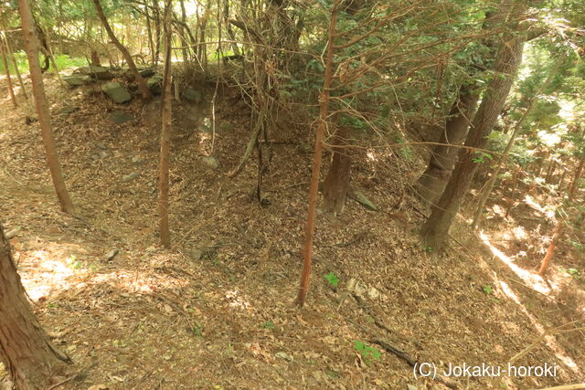 陸奥 大森城の写真