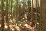 陸奥 大森城の写真