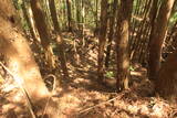陸奥 大森城の写真