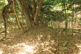 陸奥 大森城の写真