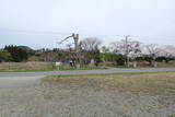 陸奥 蠣崎城の写真