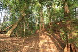 陸奥 鎌田八幡館の写真