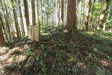 陸奥 上遠野城の写真
