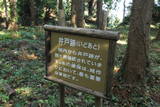 陸奥 上遠野城の写真