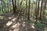 陸奥 上遠野城の写真