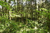 陸奥 観音山館の写真
