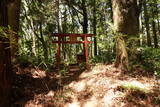 陸奥 観音山館の写真