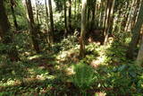 陸奥 観音山館の写真