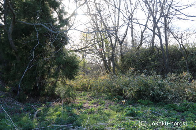 陸奥 上館(軽米町)の写真