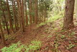 陸奥 柏木城の写真