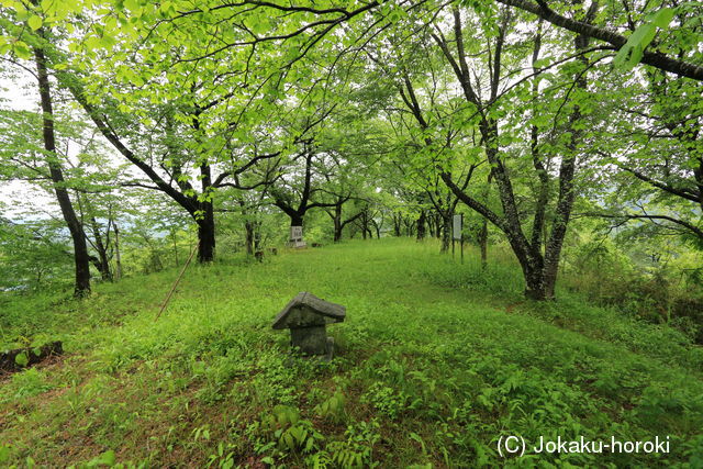 陸奥 河股城の写真