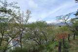陸奥 川崎城の写真