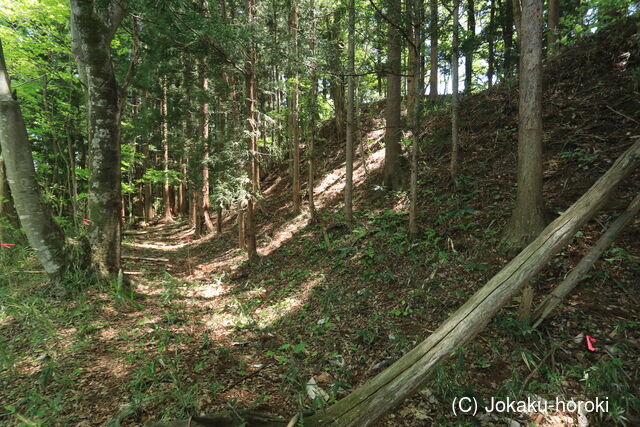 陸奥 小野城(川崎町)の写真