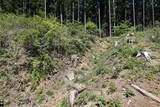 陸奥 小野城(川崎町)の写真