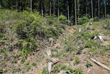 陸奥 小野城(川崎町)の写真