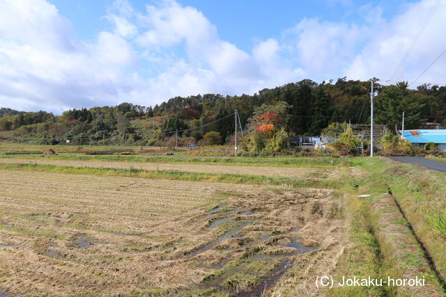 陸奥 八幡館(慶徳町)の写真