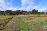 陸奥 八幡館(慶徳町)の写真