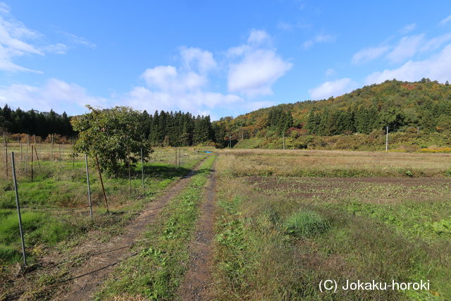 陸奥 松野館の写真