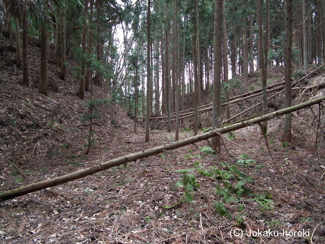 陸奥 小枝指館の写真