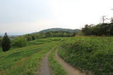 陸奥 桑折西山城の写真