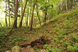 陸奥 桑折西山城の写真