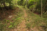 陸奥 桑折西山城の写真