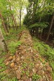 陸奥 桑折西山城の写真