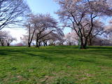 陸奥 高水寺城の写真