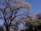 陸奥 高水寺城の写真