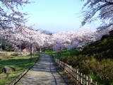 陸奥 高水寺城の写真