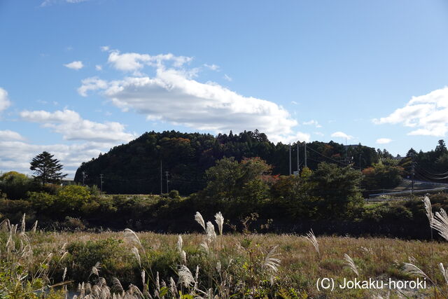 陸奥 小山城の写真