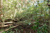 陸奥 小山城の写真