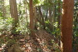 陸奥 小山城の写真