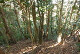 陸奥 小山城の写真
