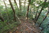 陸奥 小山城の写真