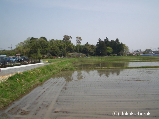 陸奥 熊野堂城の写真