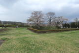 陸奥 九戸城の写真