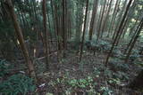 陸奥 八幡館の写真