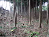 陸奥 丸館の写真