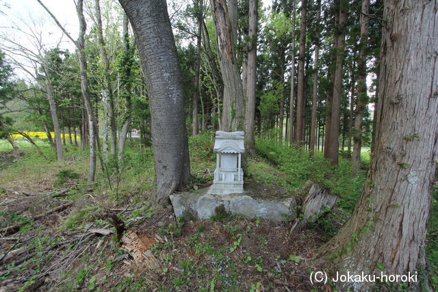 陸奥 町堤崎館の写真