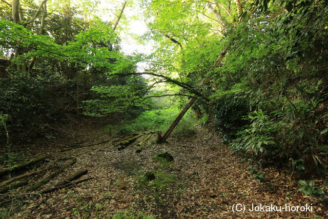 陸奥 前田沢館の写真