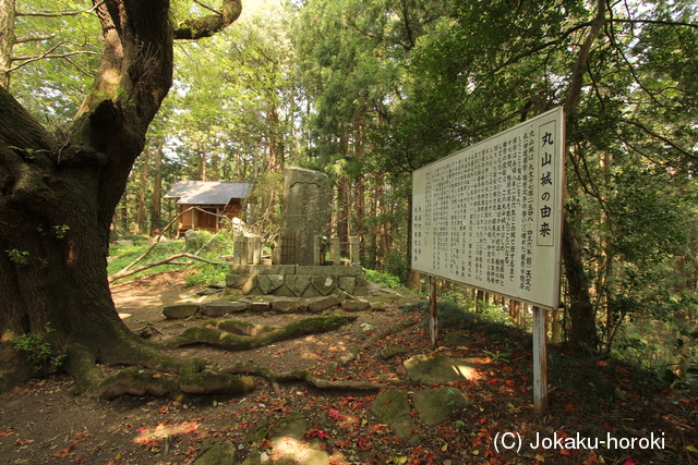 陸奥 丸山城の写真