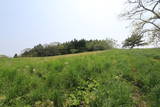 陸奥 末崎城の写真